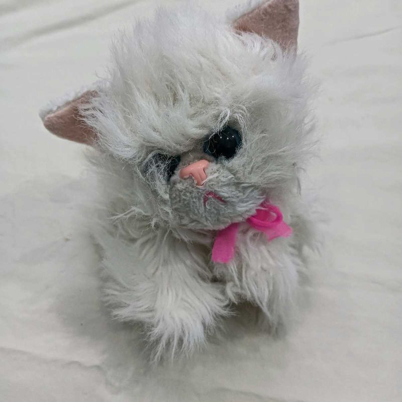Cute Fluffy🤎 White Kitten Plush Toy