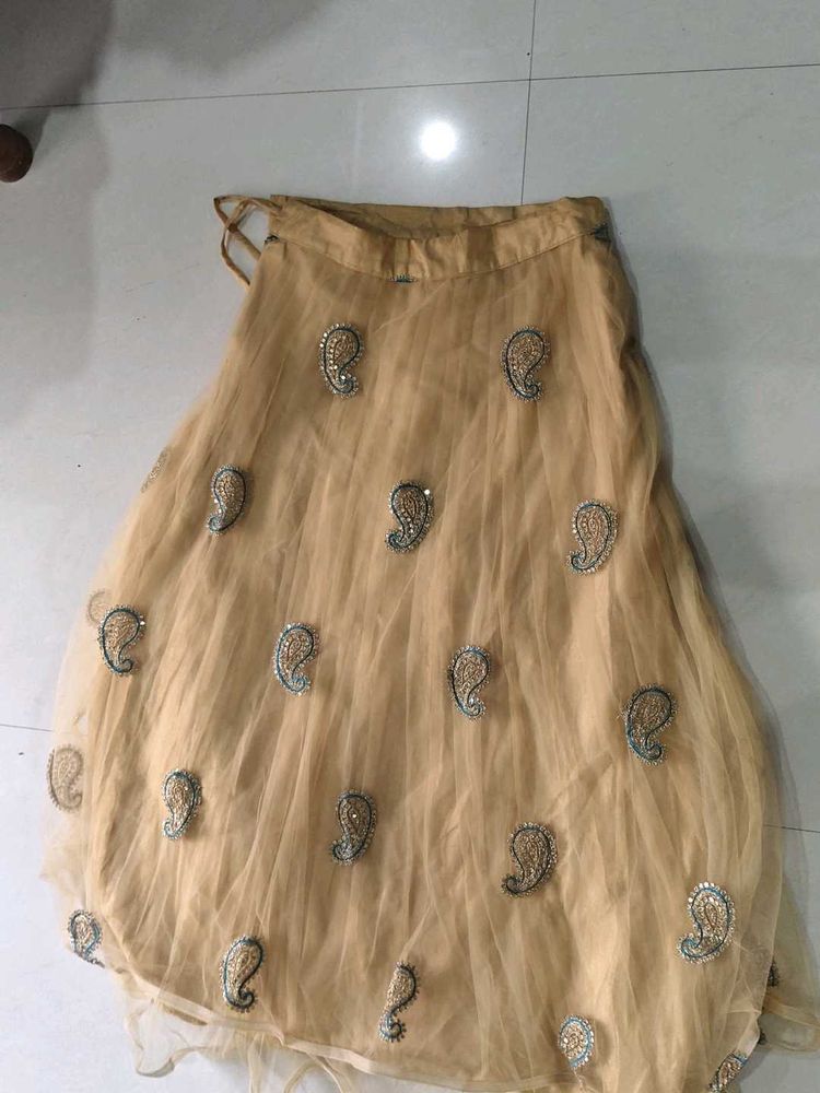 Embellished Net Lehenga Skirt