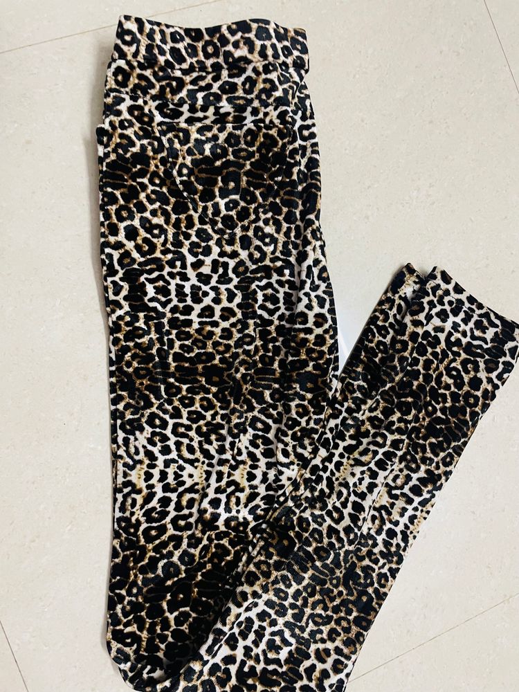 Velvet Leopard Print Pant