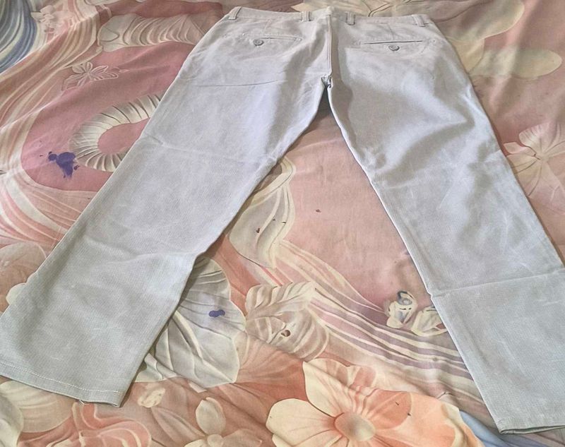 Light grey Striped Pants
