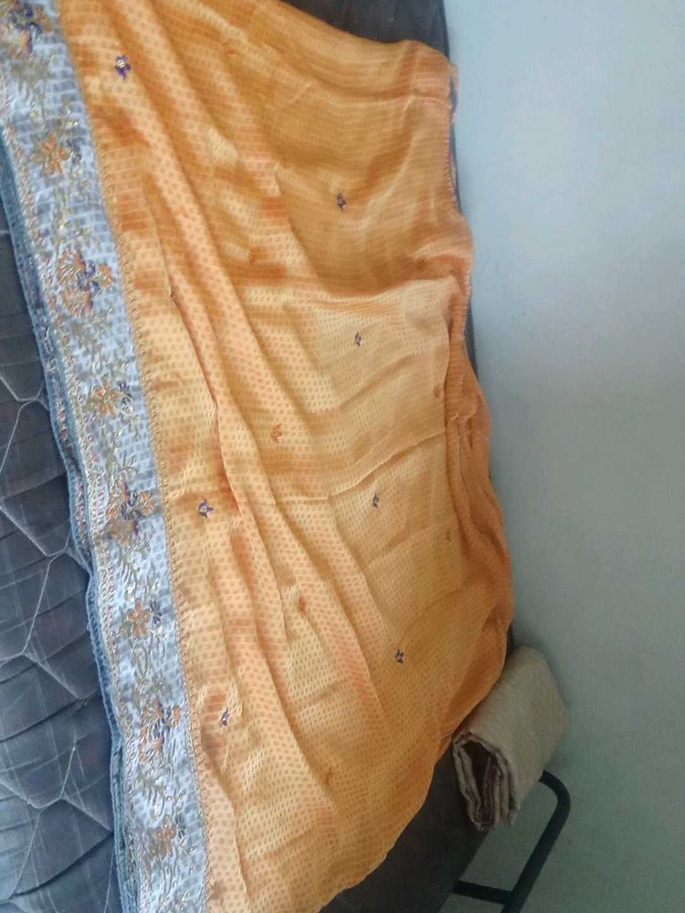 Beautiful Orange Saree with Embellished Border