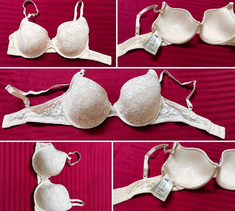 Lace Trimmed under wired Bra