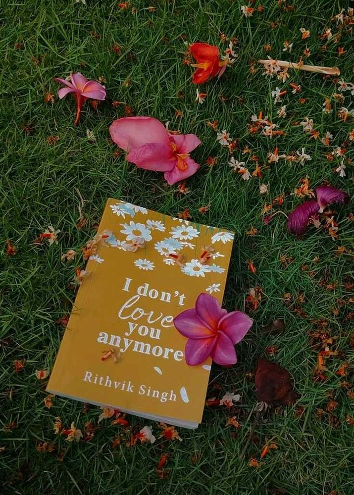 I Don't Love You Anymore Book