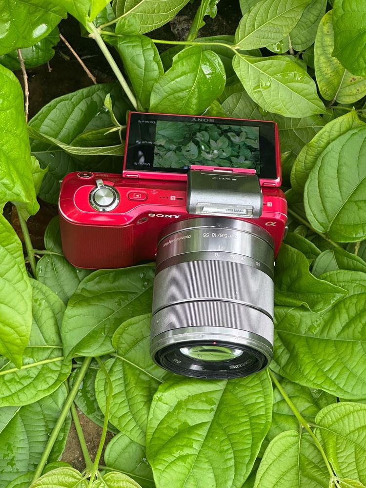 Sony Alpha Nex 1 Camera - Red