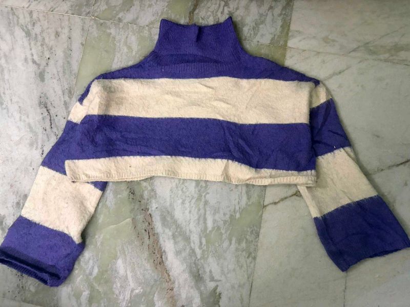 Striped Cropped Turtleneck Sweater