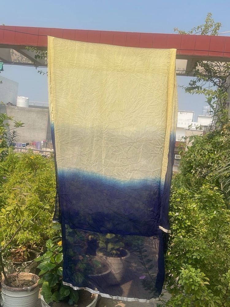 Elegant Ombre Saree