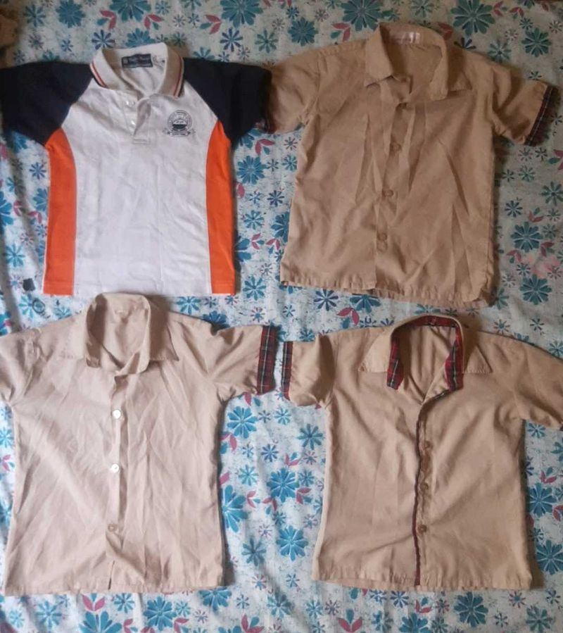 combo of shirt/tshirt