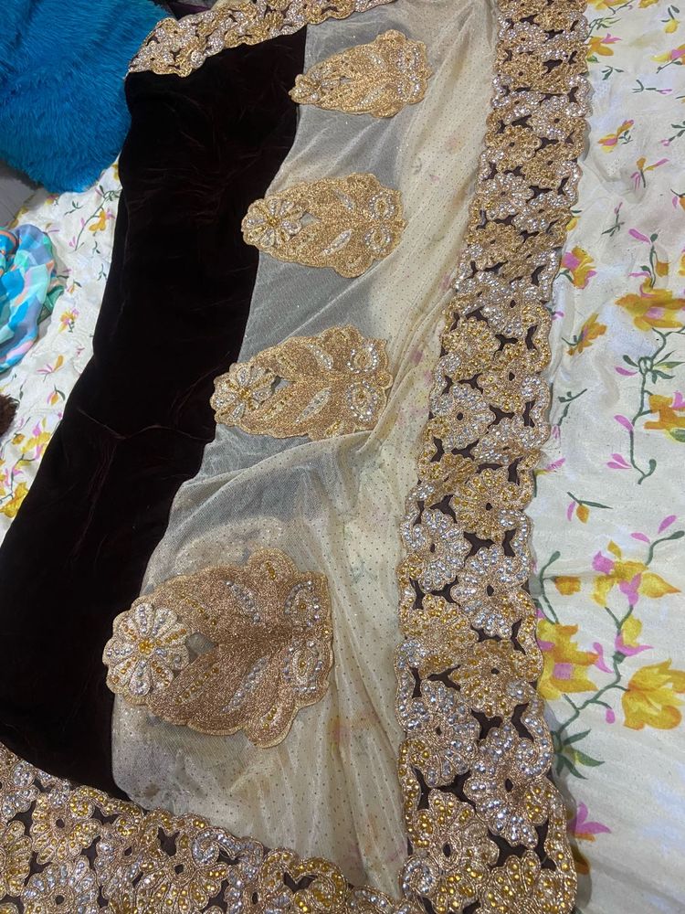 Exquisite Embellished Saree