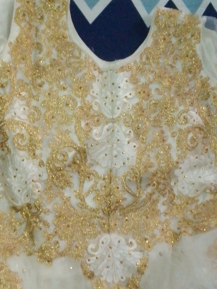 Golden Embroidered White Net Gown