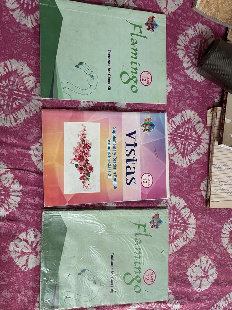 Class 12 Textbook Set