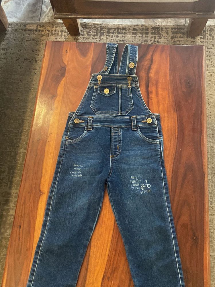 Cute Denim Overalls