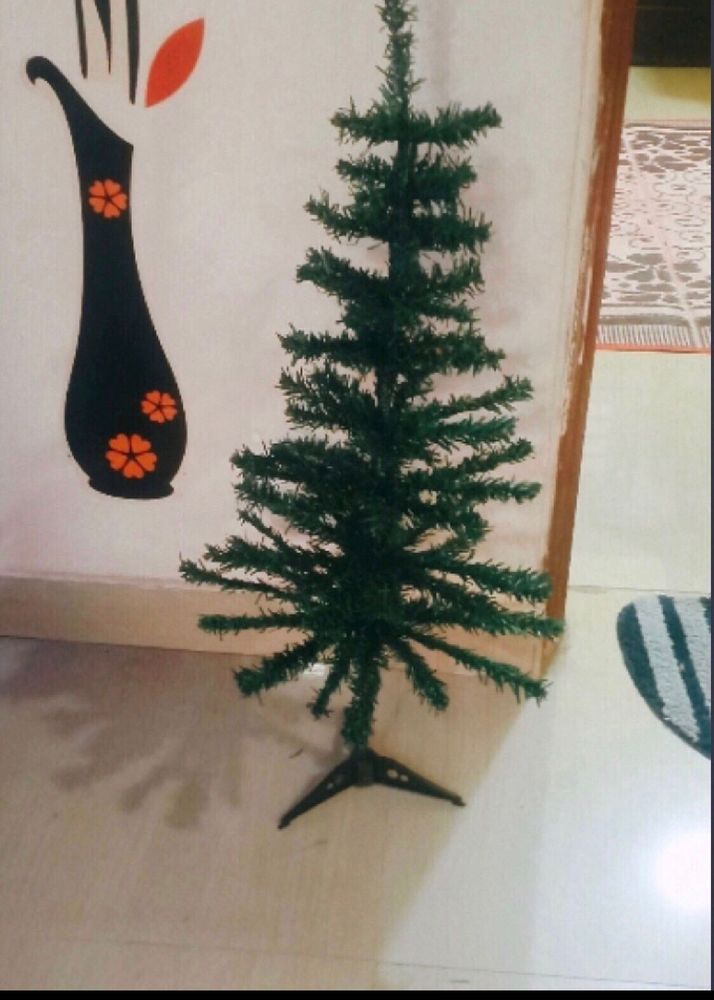 Cristmas Tree Without Decoration