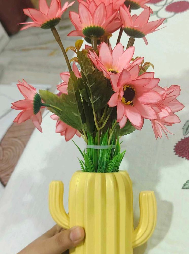 Cute Cactus Flower Pot