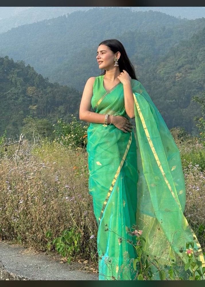 Beautiful Green Organza Saree