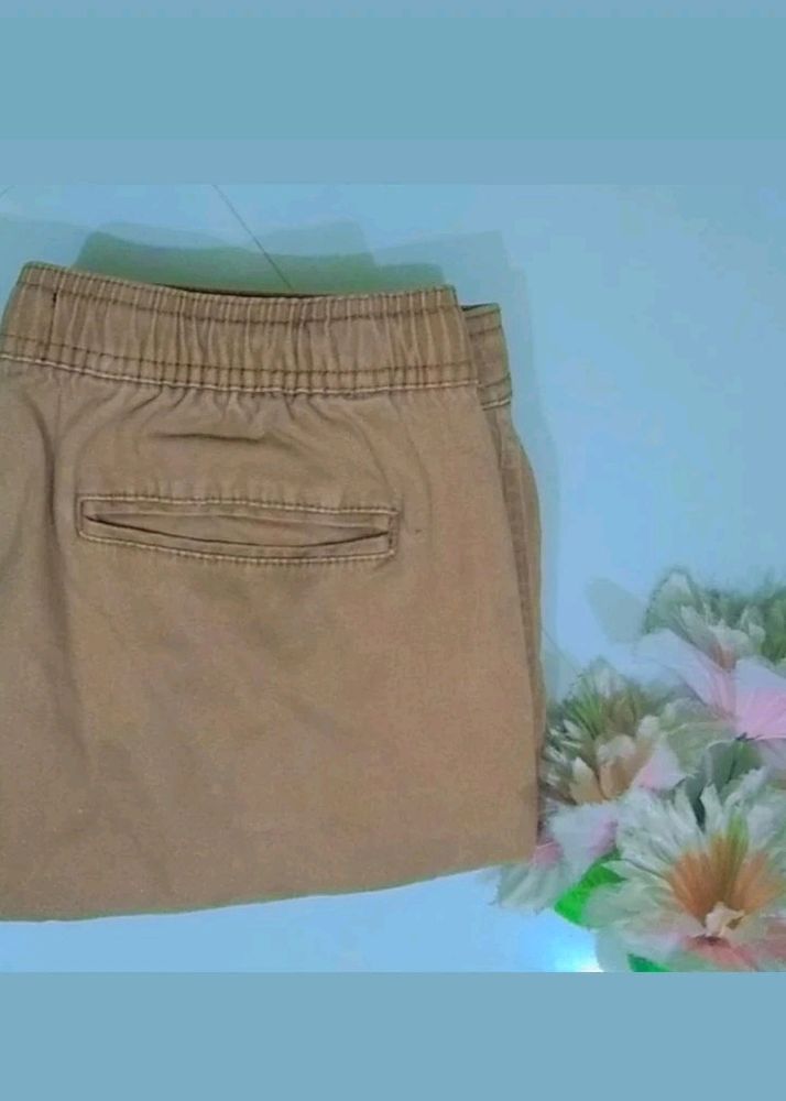 WOMEN'S TROUSERS / BROWN PANT