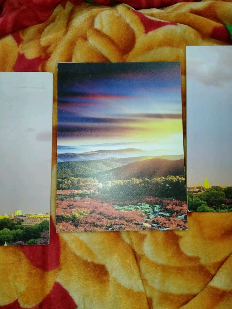 Hardboard  Penting
