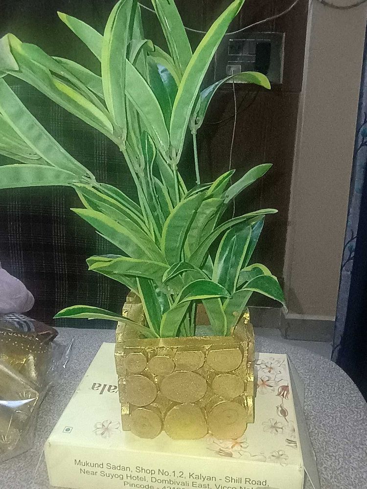 Unique Gold-Tone Planter Pot