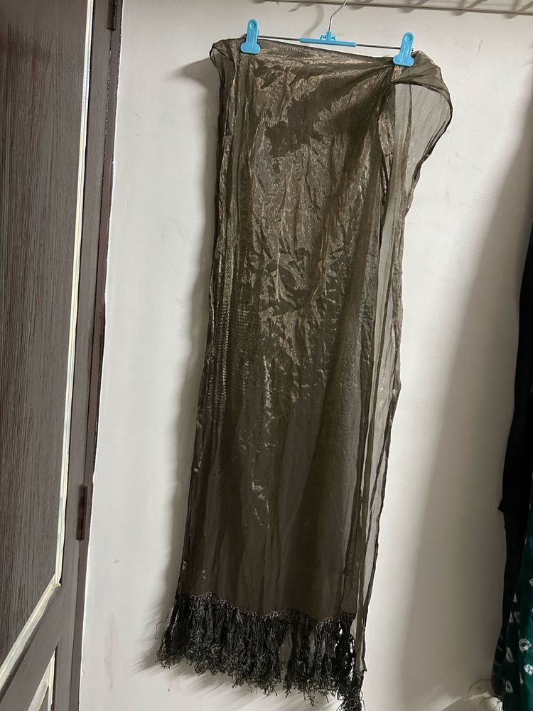 Elegant Fringed Dupatta