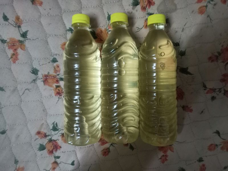 Homemade Coconut 🥥🌴 Oil For Hair