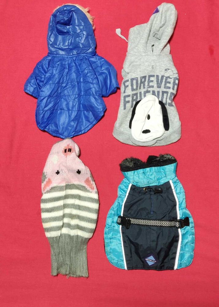 Small Cat Jacket