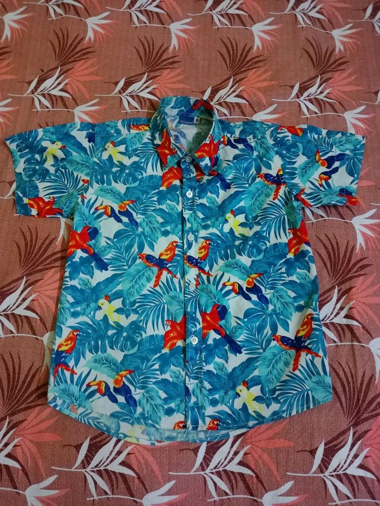 Imported Party Mood Goa Shirt For Kids Size 10