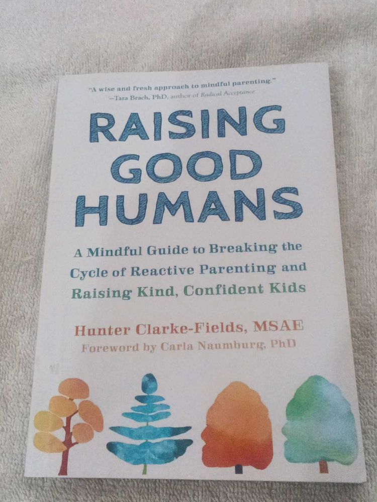 Raising Good Humans Book