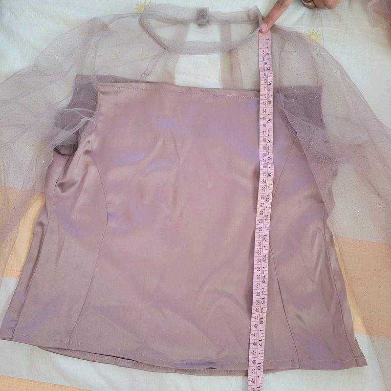 Mauve Sheer Sleeve Top