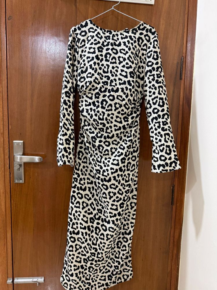 H&amp;M Leopard Print Long Sleeve Dress