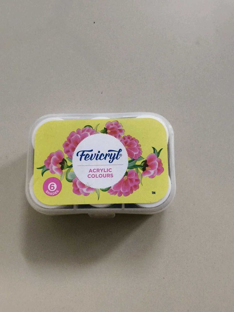 Fevicryl Acrylic Colours - 6 Shades