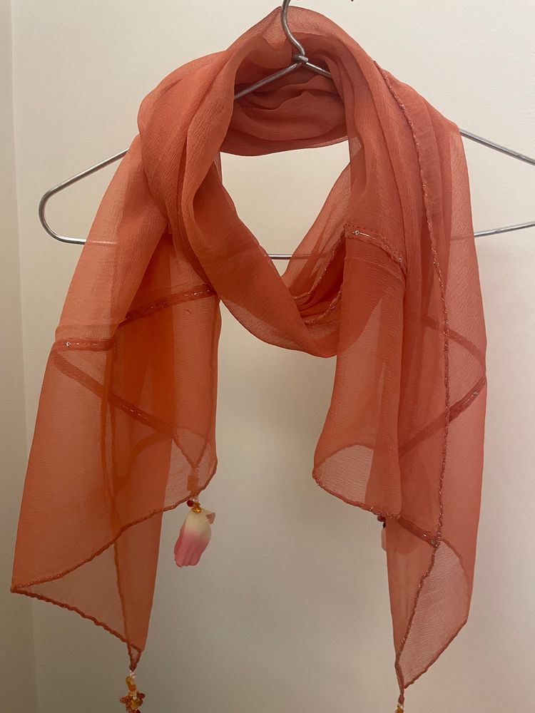 Ladies Stole Worth Tassels And Silver Thread Work