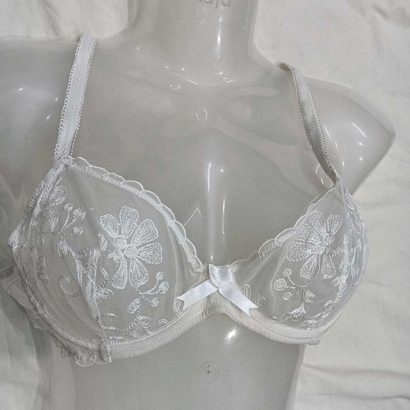 Sheer Embroidered🪔 Bra