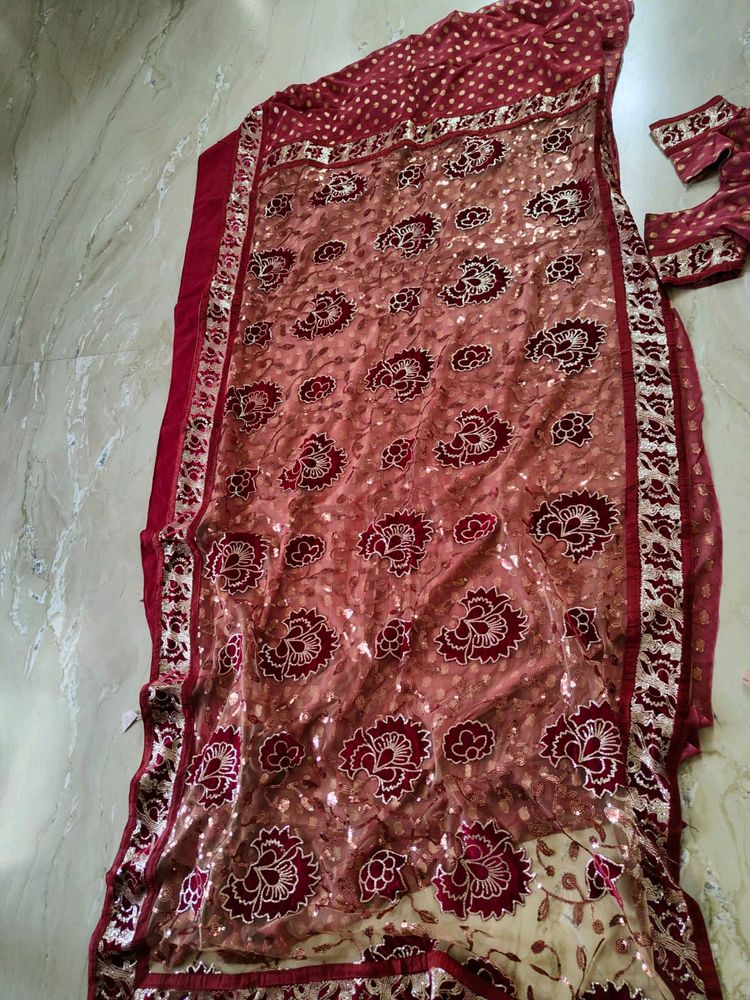 Beautiful Saree Half Net