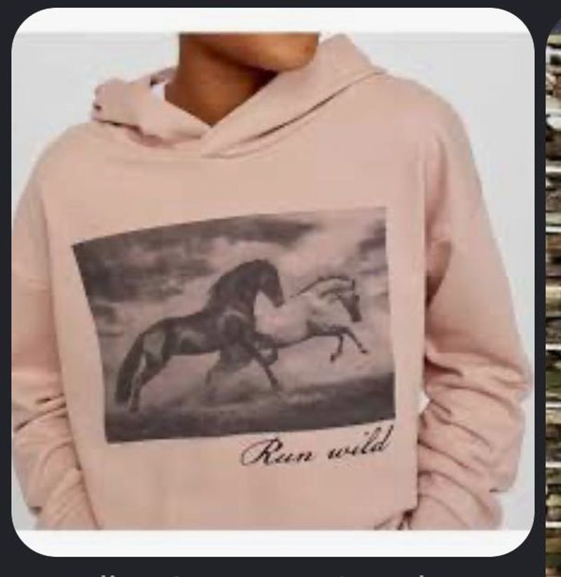 Pink Horse Graphic Hoodie