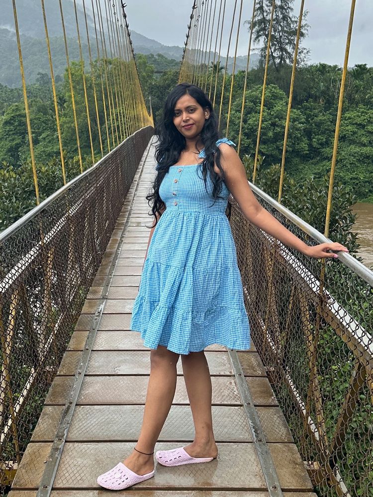 Chic Blue Gingham Summer Dress