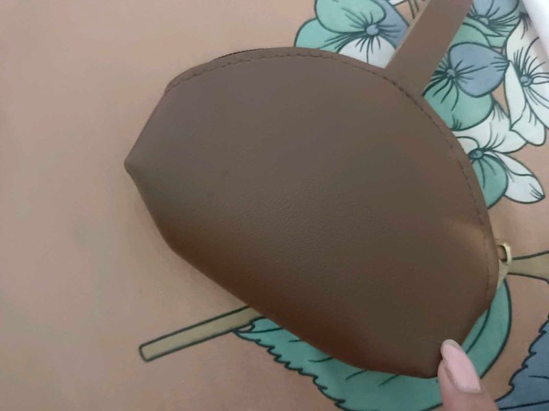 Cute Brown Pouch Bag