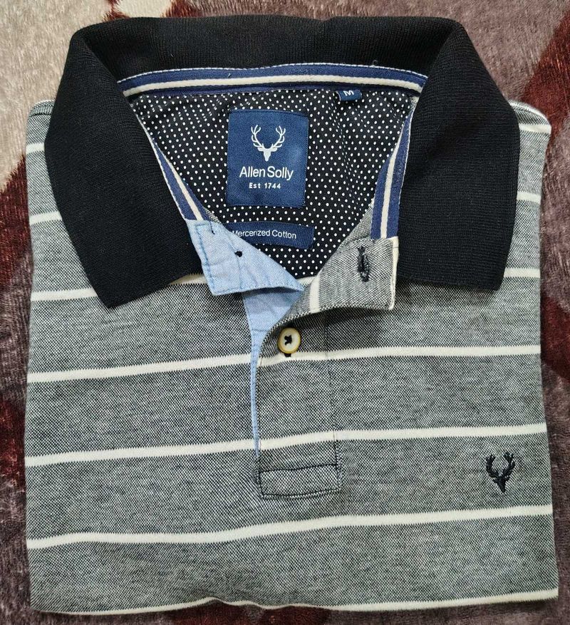 Allen Solly Striped Polo T-Shirt