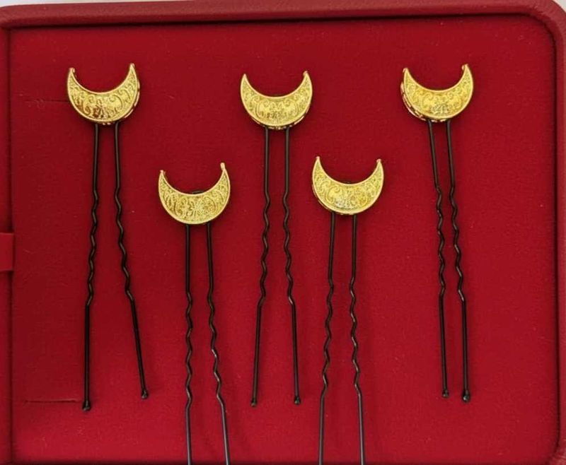 Moon Hair Pins Set of 5 pcs