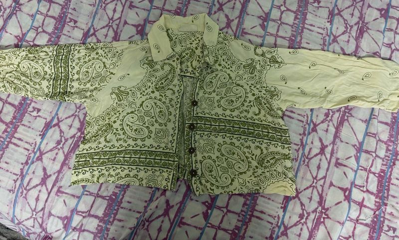 Stylish Paisley Cropped Print Shirt