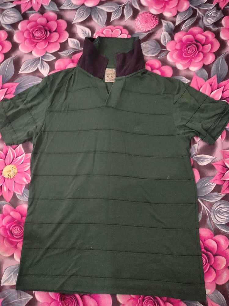 Green Striped Polo T-Shirt