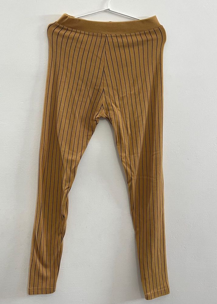 Straight Line Ankle Length Leggings