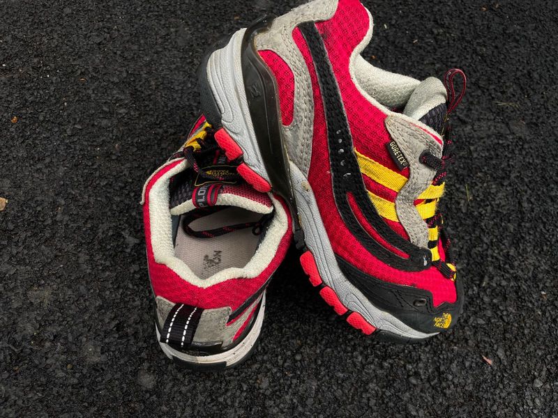 The North Face Gore-Tex Trekking Shoes