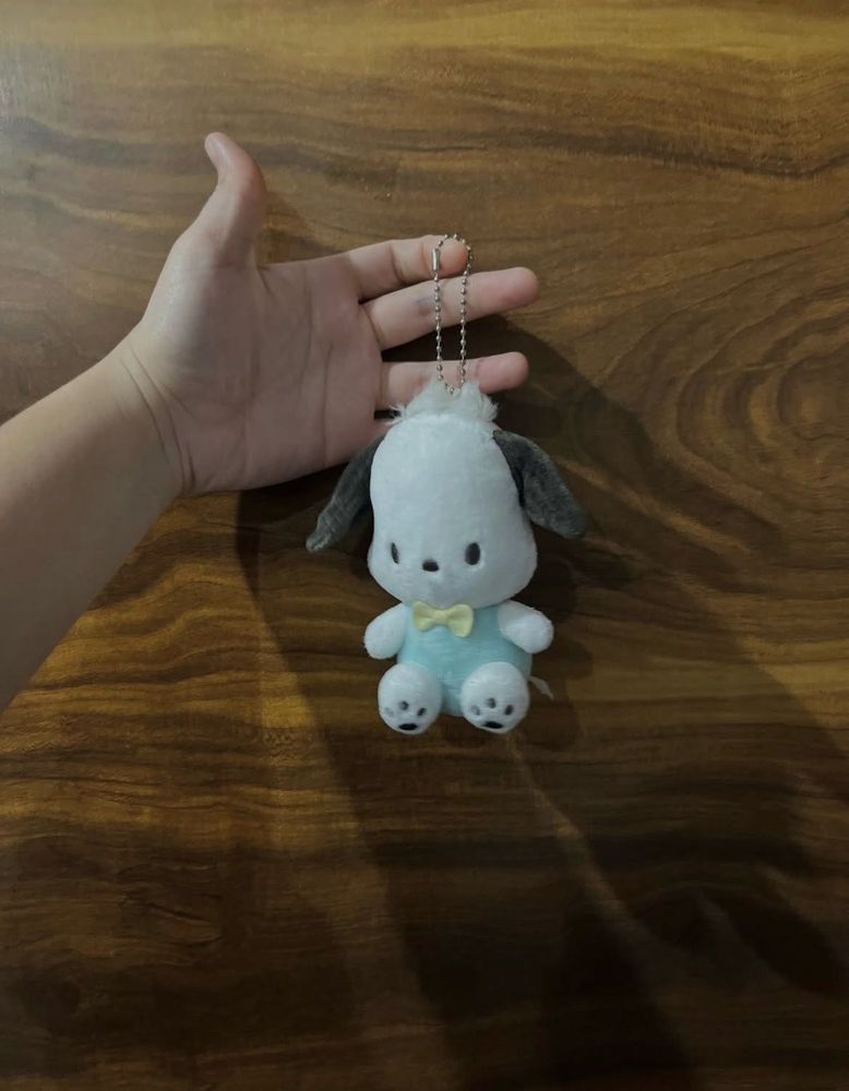 pochacco charms
