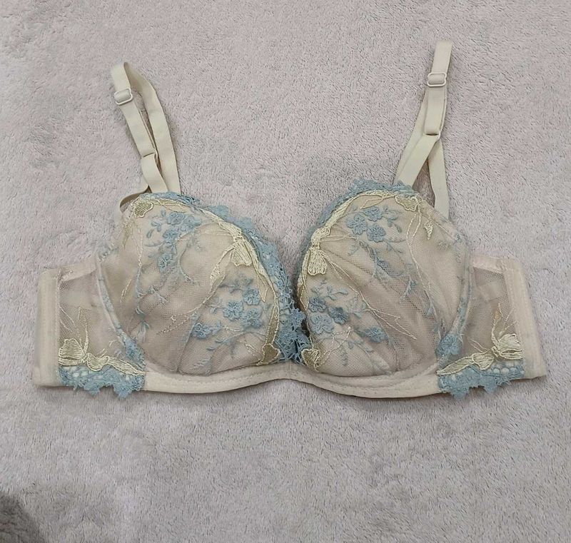 Elegant Lace Bra - Stunning Design