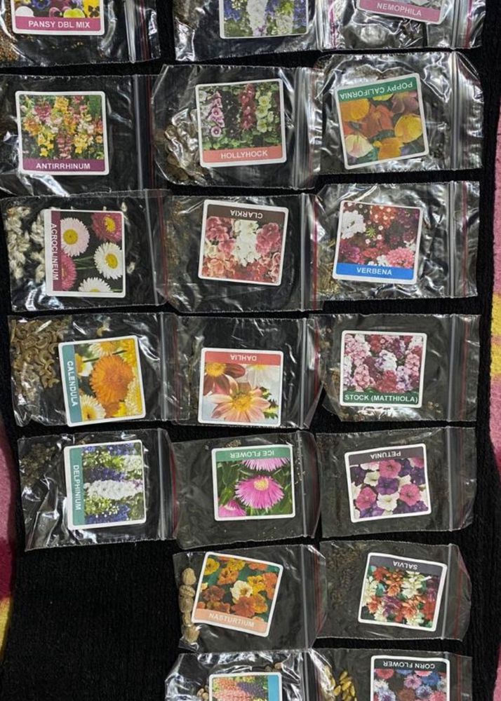 Pack Of 12 Different Plants Seeds