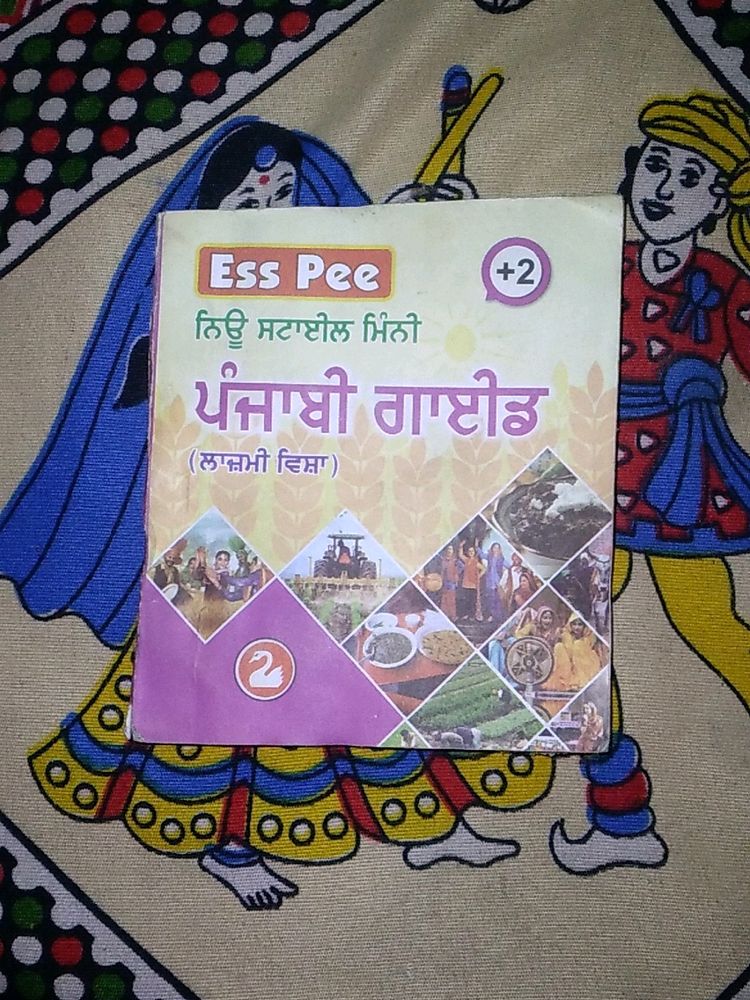 Punjabi Guide Swan For Class 12th Pocket Size Swa