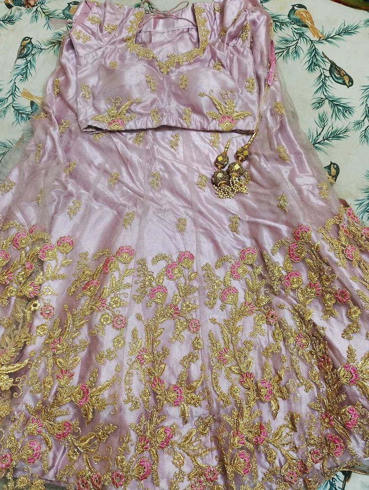 Beautiful Embroidered Lehenga Choli