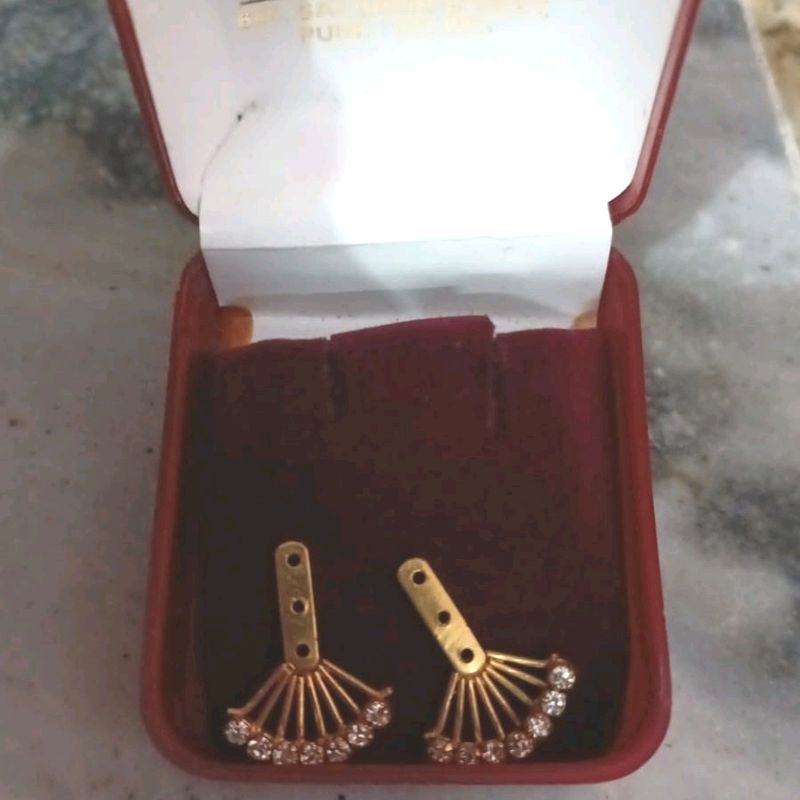 Elegant Fan Earrings