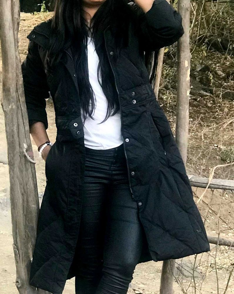 Trench Coat