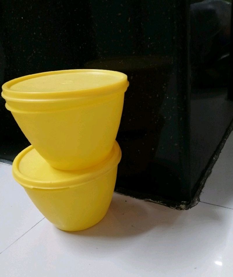 Set Of 2 Containers