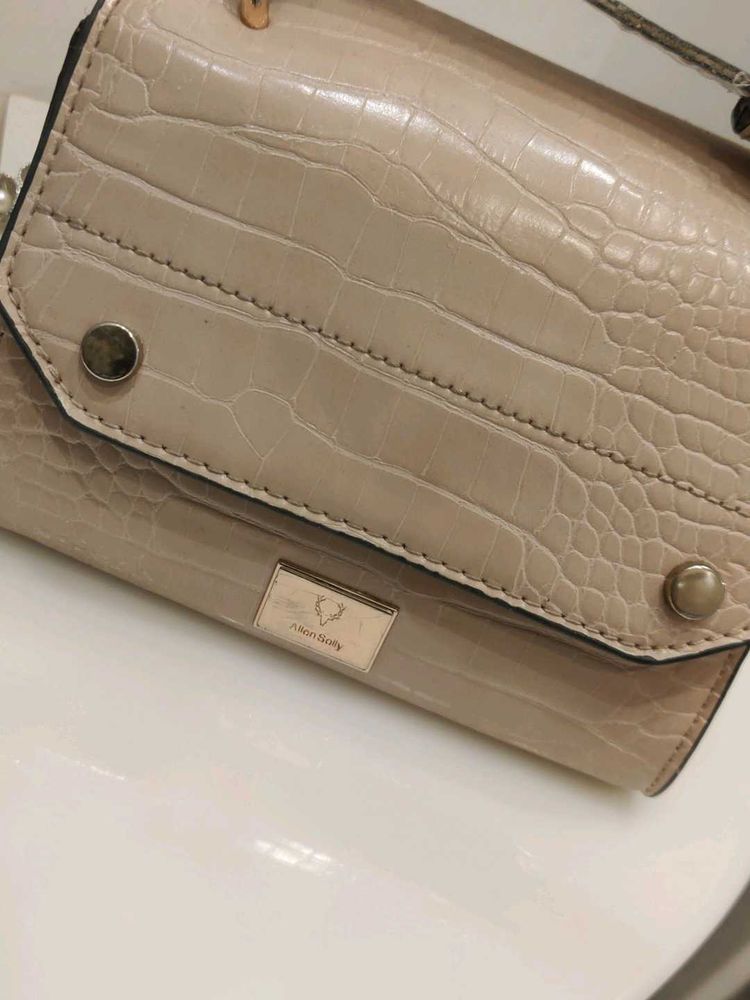 Allen Solly Handbag